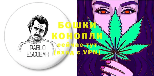 дживик Лихославль