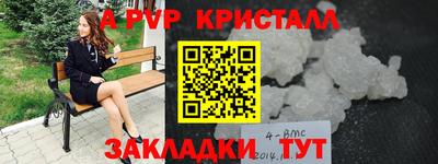 СК Кингисепп