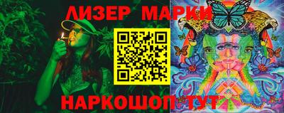 СК Кингисепп