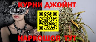 СК Кингисепп
