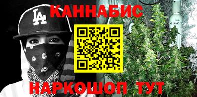 СК Кингисепп