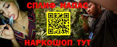 СК Кингисепп