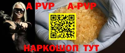 СК Кингисепп