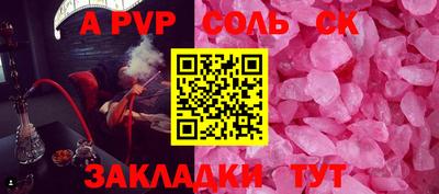 СК Кингисепп