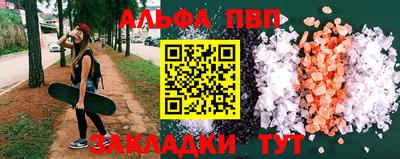 СК Кингисепп