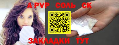 СК Кингисепп