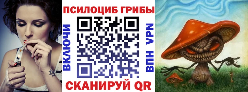 Псилоцибиновые грибы прущие грибы  Новодвинск 