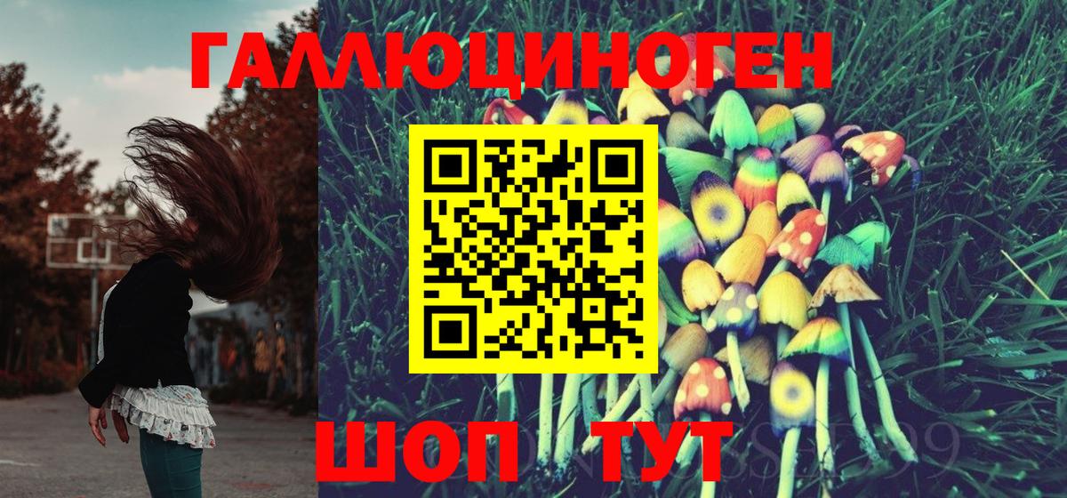 Галлюциногенные грибы ЛСД Новодвинск